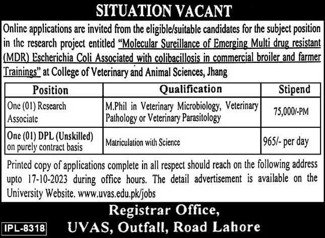 University of Veterinary and Animal Sciences UVAS Lahore Job – University of Veterinary and Animal Sciences Lahore Jobs 2023 — original advertisement