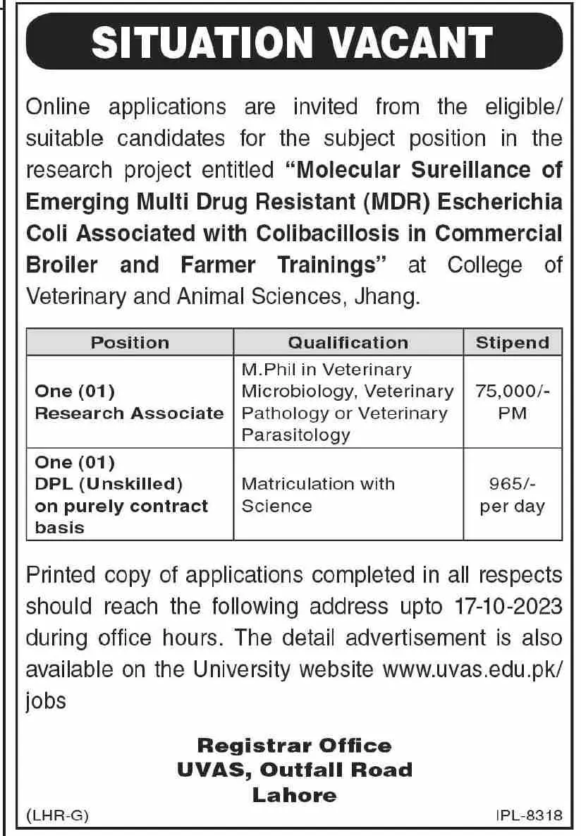 University of Veterinary and Animal Sciences UVAS Lahore Job – University of Veterinary and Animal Sciences Lahore Jobs 2023 — original advertisement