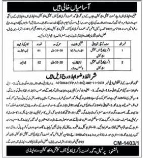 Govt Degree College of Special Education Rawalpindi Job 2023 – Govt Degree College Nawagai District Bajaur Jobs 2023 — original advertisement