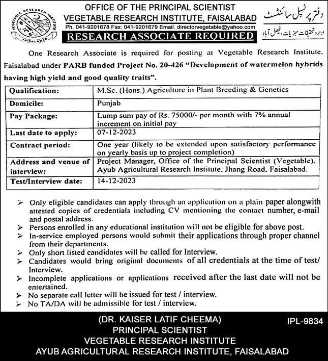 Vegetable Research Institute Research Faisalabad Jobs 2023 Jobs 2023 — original advertisement
