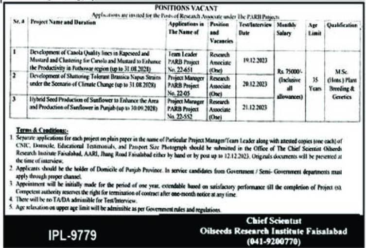 Oilseeds Research Institute Faisalabad Punjab Jobs 2023 – Oil Seeders research institute Faisalabad Jobs 2023 — original advertisement