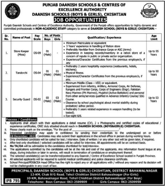 Punjab Daanish Schools & Centres Of Excellence Chishtian Job Jobs 2023 — original advertisement