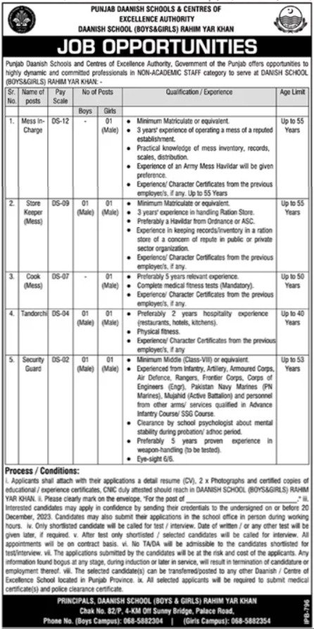 Punjab Daanish Schools & Center Of Excellence Rahim yar  job Jobs 2023 — original advertisement