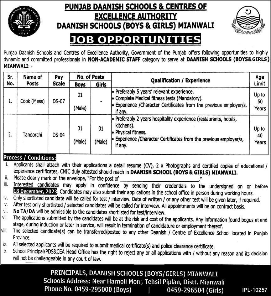 Punjab Daanish Schools & Centres of Excellence Mianwali Jobs Jobs 2023 — original advertisement