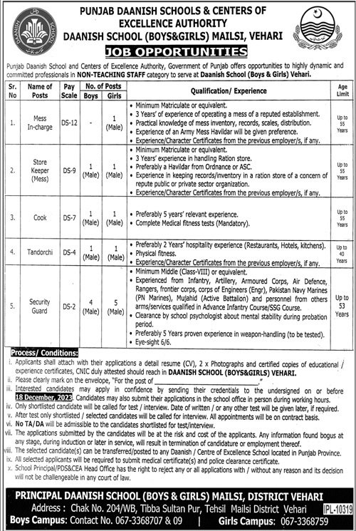 Punjab Daanish Schools Vehari Punjab Jobs 2023 Jobs 2023 — original advertisement