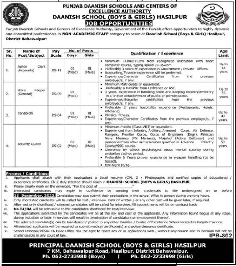 Punjab Daanish Schools & Center Of Excellence  Hasilpur Jobs Jobs 2023 — original advertisement