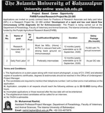 Islamia University Of Bahawalpur  Punjab Jobs 2023 – Islamia University Bahawalpur Jobs 2023 — original advertisement