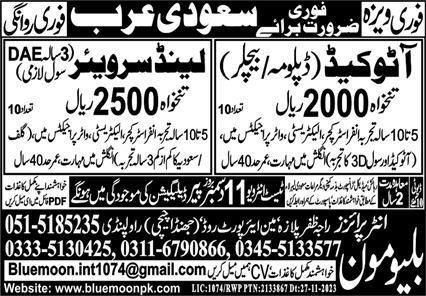 AutoCAD Operator & Land Surveyor Jobs 2023 In Saudi Arabia – Blue Moon Enterprises Jobs 2023 — original advertisement