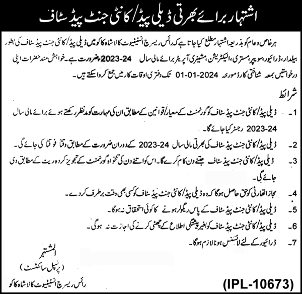 Rice Research Institute Kala Shah Kaku Jobs 2024 Jobs 2023 — original advertisement