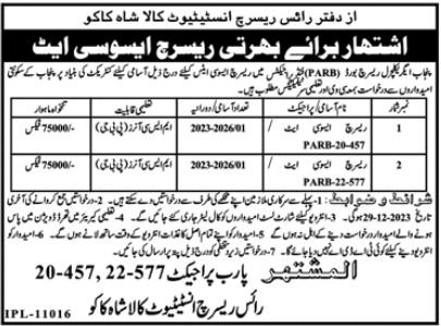 Rice Research Institute Kala Shah Kaku Punjab Jobs 2023 Jobs 2023 — original advertisement