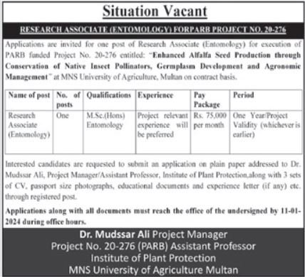 MNS University Of Agriculture Multan Punjab Jobs 2024 – MNS-University of Agriculture, Multan. Jobs 2024 — original advertisement