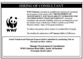 World wide Funf WWF Pakistan Jobs 2024 – World Wide Fund WWF Pakistan Jobs 2024 — original advertisement