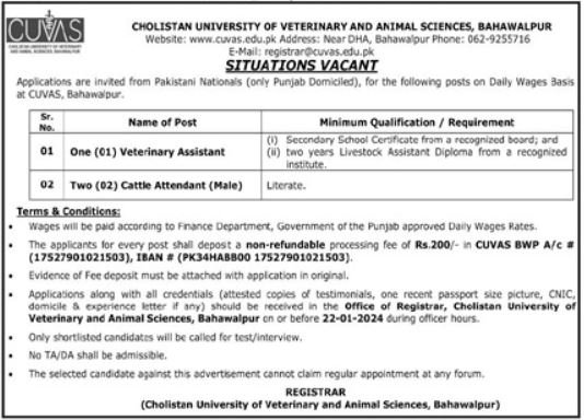 Cholistan University Of Veterinary Bahawalpur Jobs 2024 – Cholistan University of Veterinary and Animal Sciences Bahawalpur Admissions 2024 — original advertisement