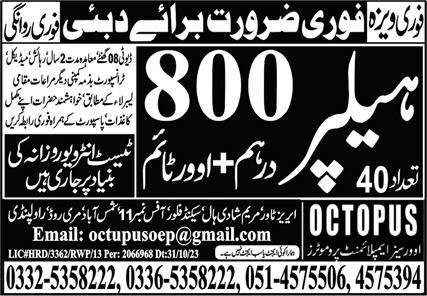 Helper Jobs Open In Dubai 2024 – OCTOPUS Overseas Employment Promoters Admissions 2024 — original advertisement