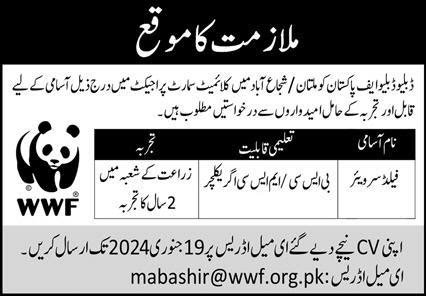 World Wide Fund WWF Pakistan Jobs 2024 Jobs 2024 — original advertisement