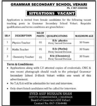 Grammar Secondary School Vehari Punjab Jobs 2024 Jobs 2024 — original advertisement