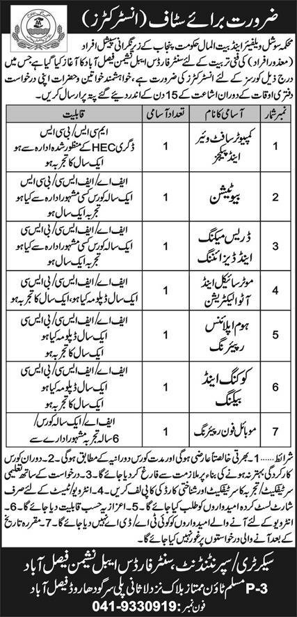 Social Welfare & Bait Ul Maal Faisalabad Punjab Jobs 2024 – Social Welfare & Bait-Ul-Maal Department Punjab Jobs 2024 — original advertisement