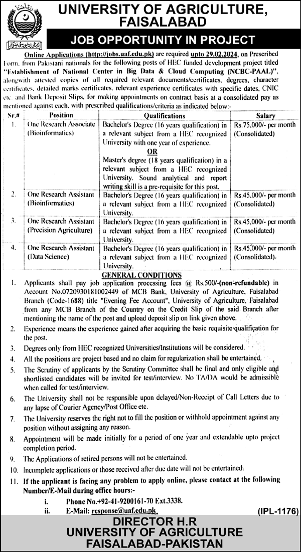University Of Agriculture Faislabad Jobs 2024 – University of Agriculture Faisalabad Jobs 2024 — original advertisement