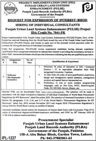 Punjab Land Records Authority PLRA Jobs 2024 Jobs 2024 — original advertisement