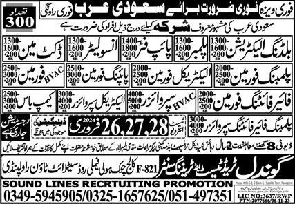 Plumbing Fire Fighting Supervisor & Piping Foreman Jobs 2024 – Gondal Trade Test & Training Center Jobs 2024 — original advertisement