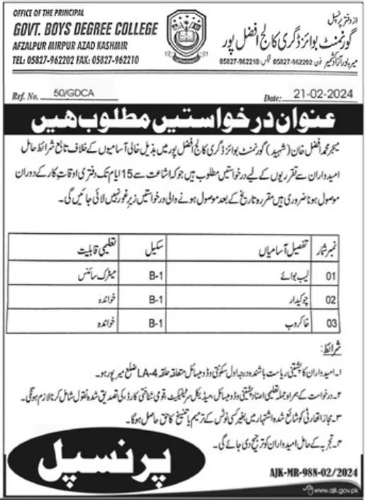 Government Boys Degree College Fazal Pur Jobs 2024 Jobs 2024 — original advertisement