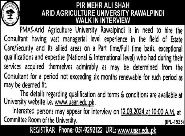 PMAS Arid Agriculture University Rawalpindi Jobs Interviews – Pir Mehr Ali Shah Arid Agriculture University Rawalpinid Jobs 2024 — original advertisement