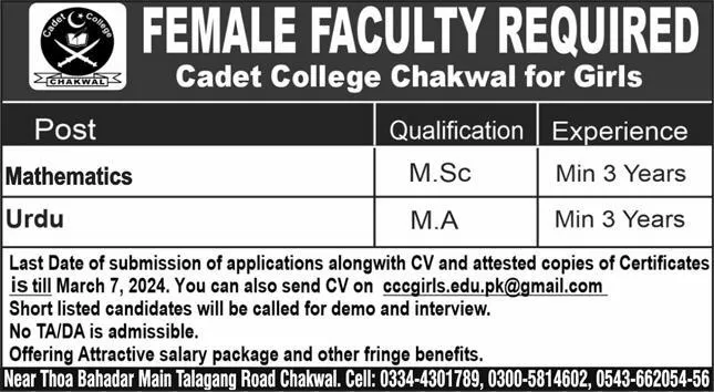 Cadet College Chakwal Punjab Jobs 2024 Jobs 2024 — original advertisement