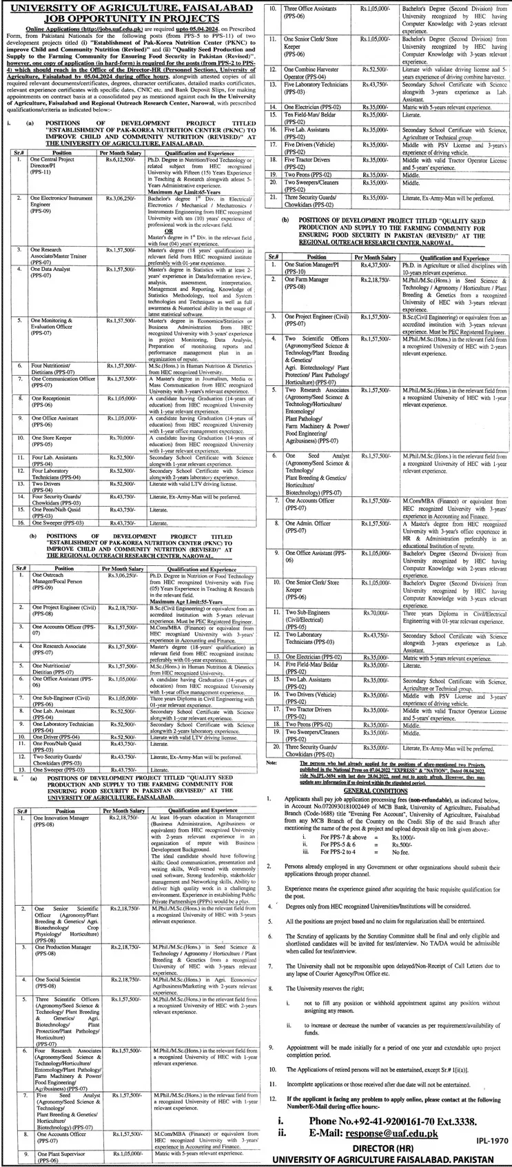 University Of Agriculture Faisalabad Jobs 2024 Jobs 2024 — original advertisement