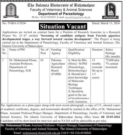 The Islamia University Of Bahawalpur Job 2024 – Islamia University Bahawalpur Jobs 2024 — original advertisement