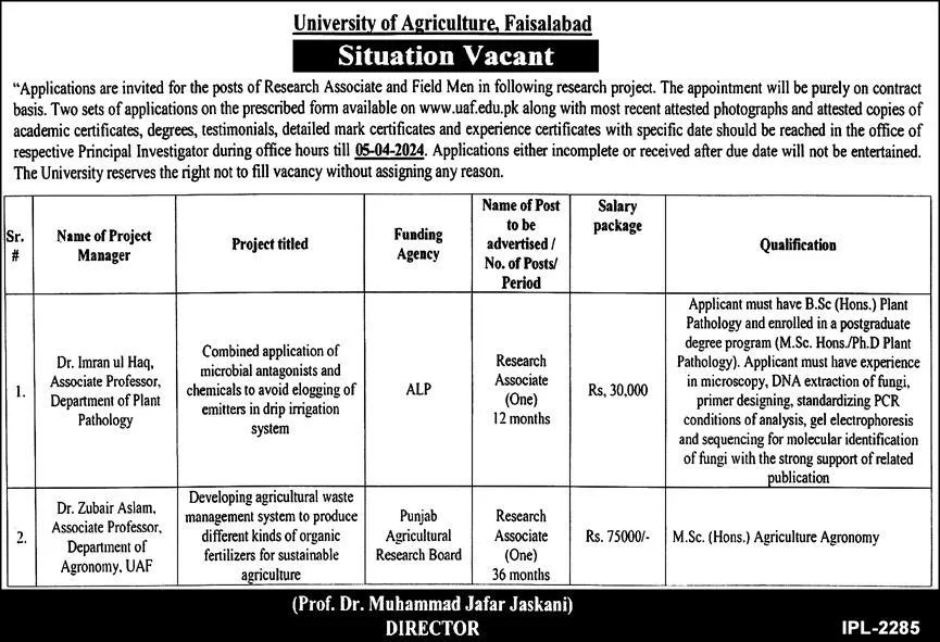 University Of Agriculture Faisalabad Punjab Jobs 2024 Jobs 2024 — original advertisement