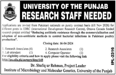 University Of Punjab UOP Lahore Jobs 2024 Jobs 2024 — original advertisement