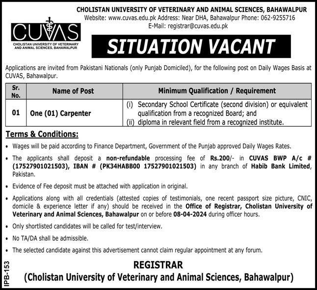 Cholistan University Of Veterinary & Animal Sciences Jobs – Cholistan University of Veterinary and Animal Sciences Bahawalpur Jobs 2024 — original advertisement