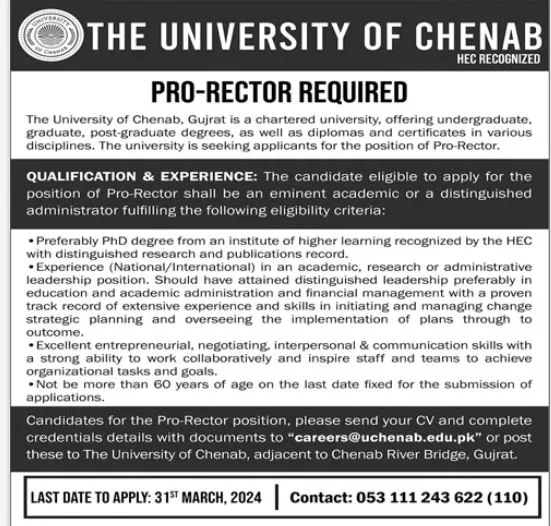 The University Of Chenab Jobs 2024 Jobs 2024 — original advertisement