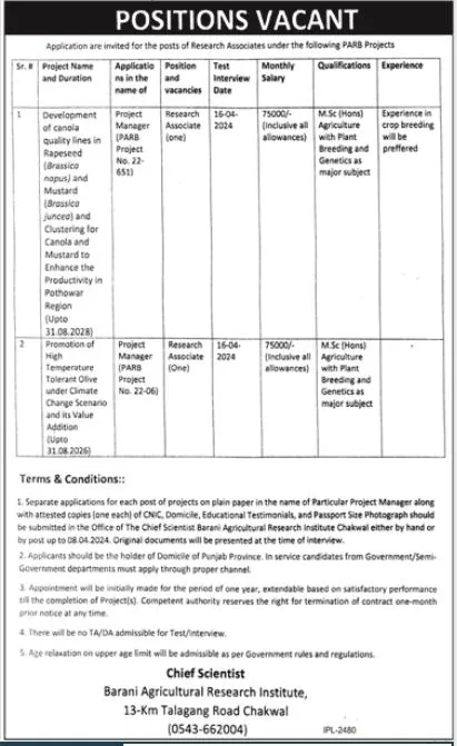 Barani Agriculture Research Institute Jobs 2024 – Barani Institute of Information Technology Jobs 2024 — original advertisement