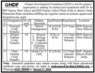 Human Developement Foundation HDF Tando Muhammad Khan Jobs – Human Development Foundation HDF Jobs 2024 — original advertisement