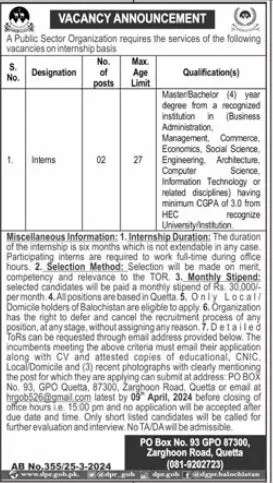Public Sector Organization Balochistan Jobs 2024 Jobs 2024 — original advertisement