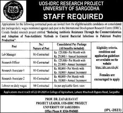 UOS IDRC Research Project University Of Sargodha Jobs 2024 Jobs 2024 — original advertisement
