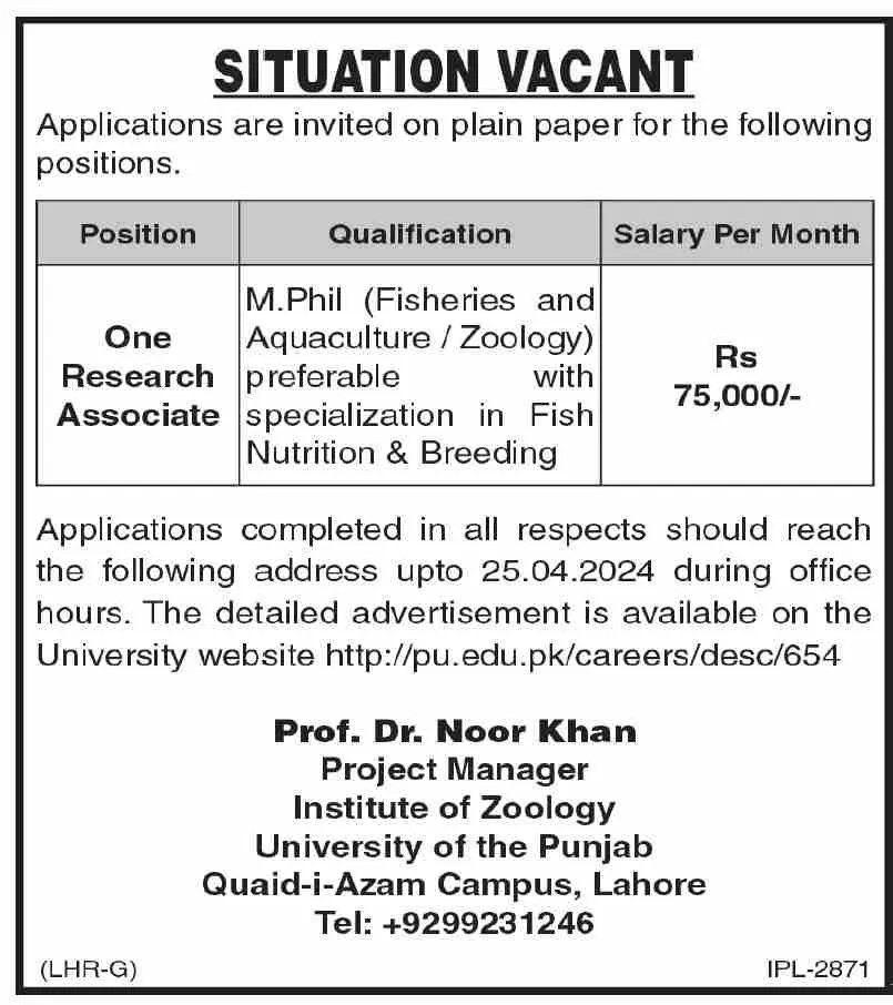 Institute Of Zoology University Of The Punjab PU Jobs 2024 – University of Punjab Jobs 2024 — original advertisement