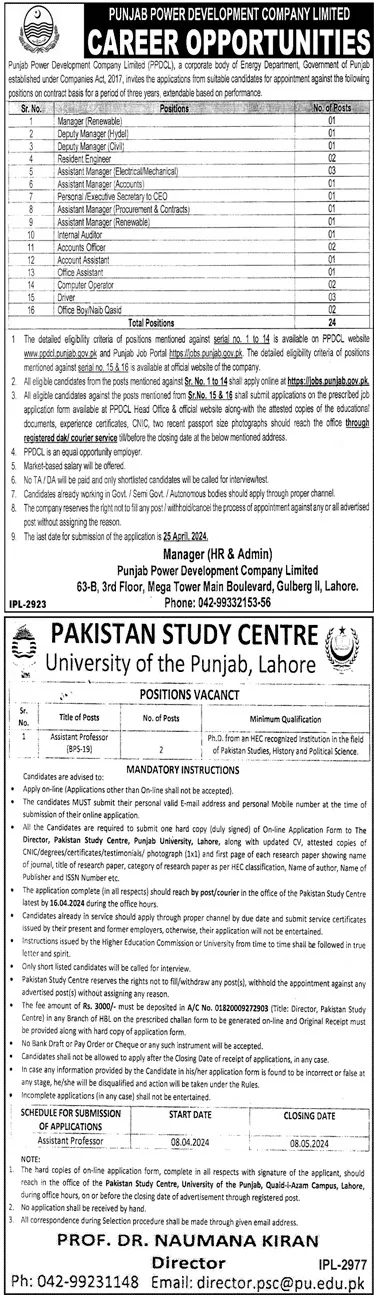 Punjab Power Development Company Jobs 2024 – Private Company Jobs 2024 — original advertisement
