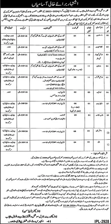Social Welfare And Bait Ul Maal Punjab Jobs 2024 – Social Welfare & Bait-Ul-Maal Department Punjab Jobs 2024 — original advertisement