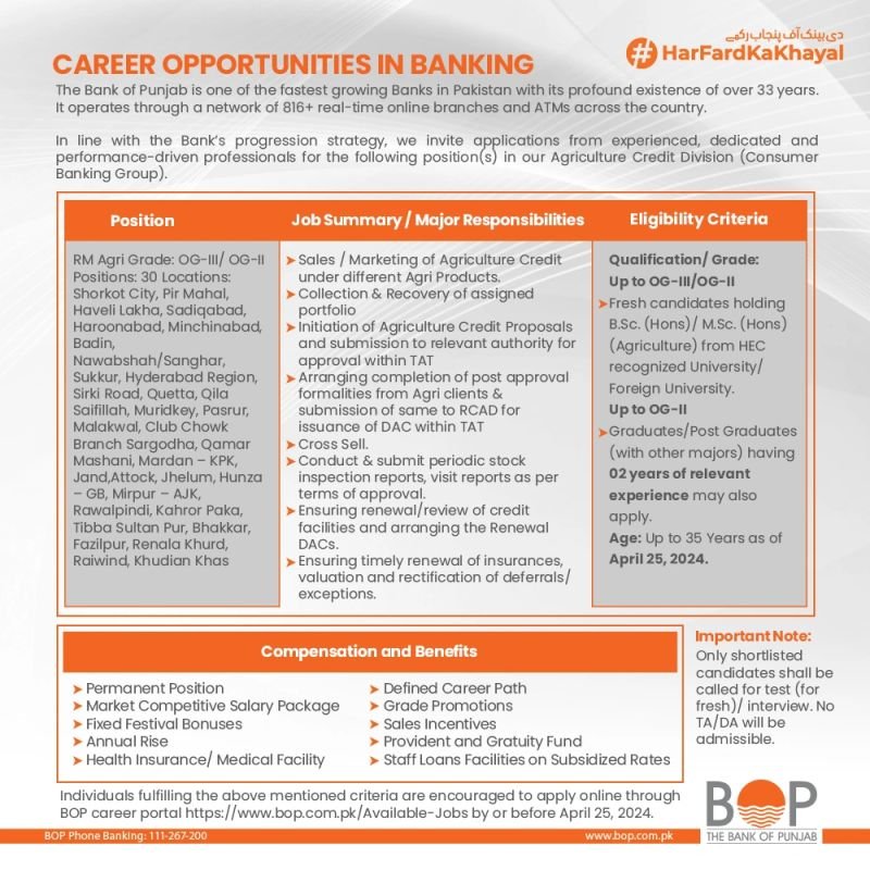 Bank of punjab bop Jobs 2024 Jobs 2024 — original advertisement
