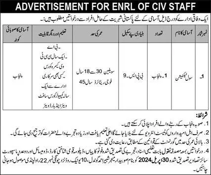Federal Government Organization Rawalpindi Jobs 2024 Jobs 2024 — original advertisement