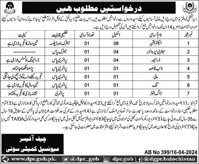 Municipal Committee Sui Jobs 2024 – Muncipal Commette Jobs 2024 — original advertisement