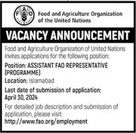 Food And Agriculture Organization FAO Jobs 2024 Jobs 2024 — original advertisement