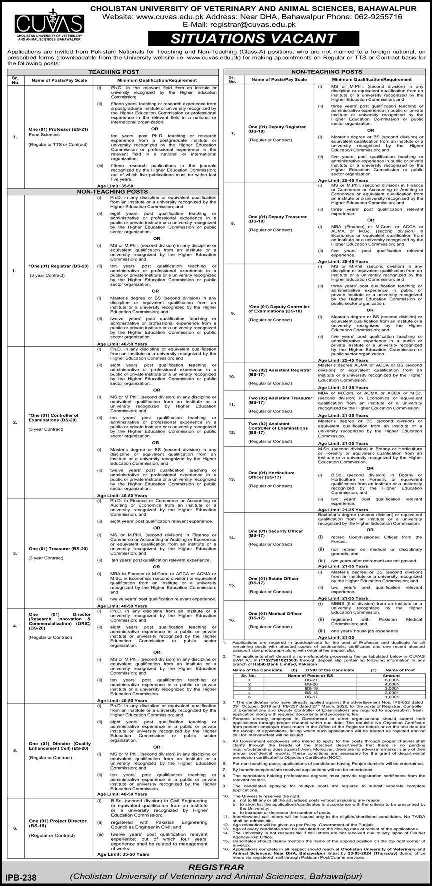 Cholistan University Bahawalpur Punjab Jobs 2024 – Cholistan University of Veterinary and Animal Sciences Bahawalpur Jobs 2024 — original advertisement