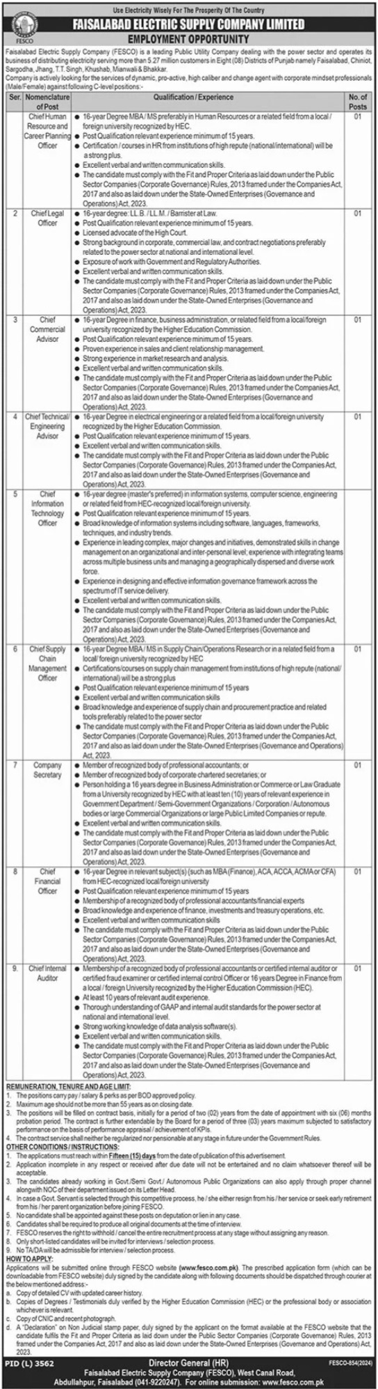 Faisalabad Electric Supply Company Limited Punjab Jobs 2024 Jobs 2024 — original advertisement