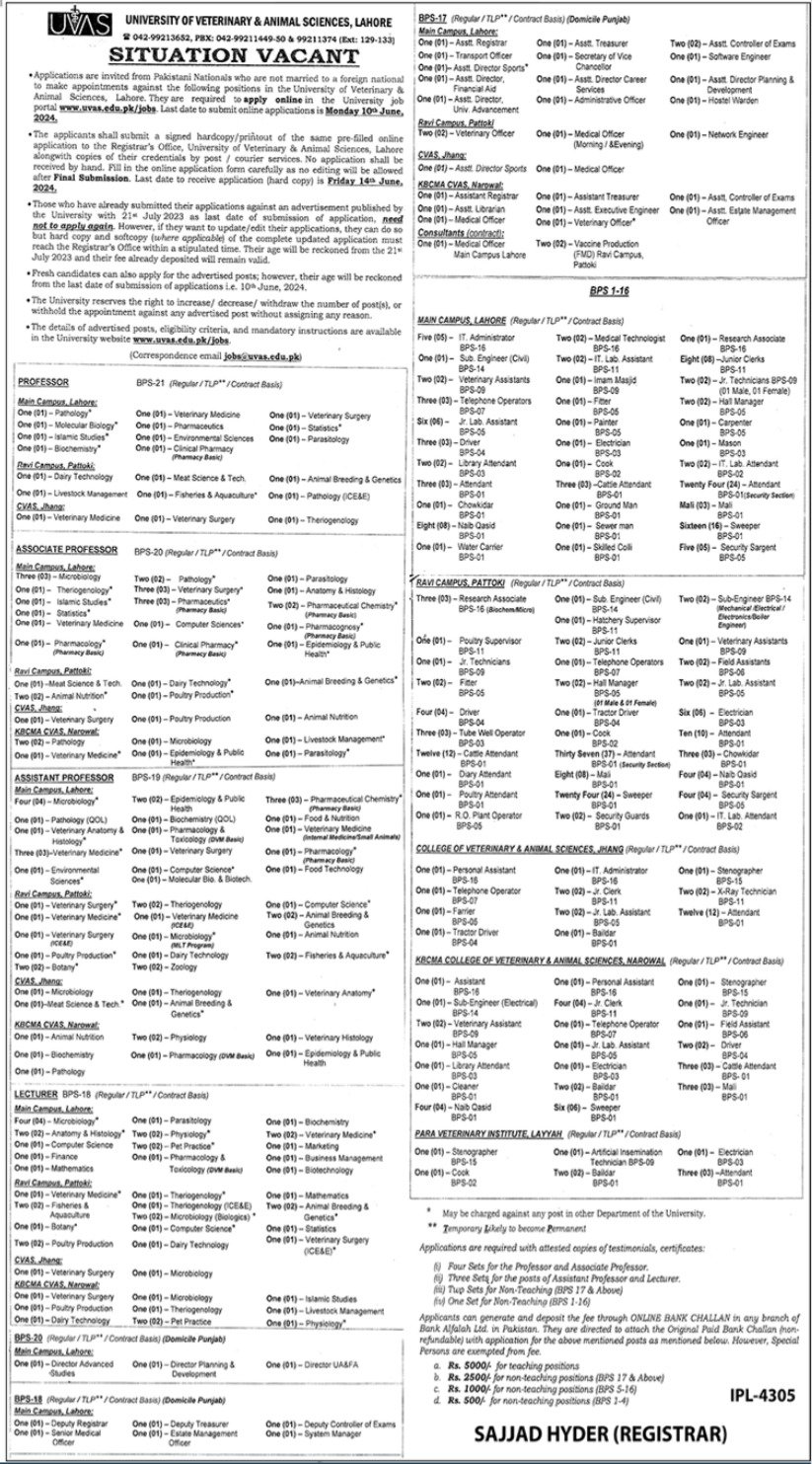 University Of Veterinary & Animal Sciences UVAS Lahore Jobs – University of Veterinary and Animal Sciences Lahore Jobs 2024 — original advertisement