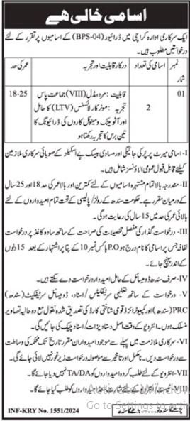 Government Organization In Karachi Jobs 2024 – Public Sector Organization Jobs 2024 — original advertisement