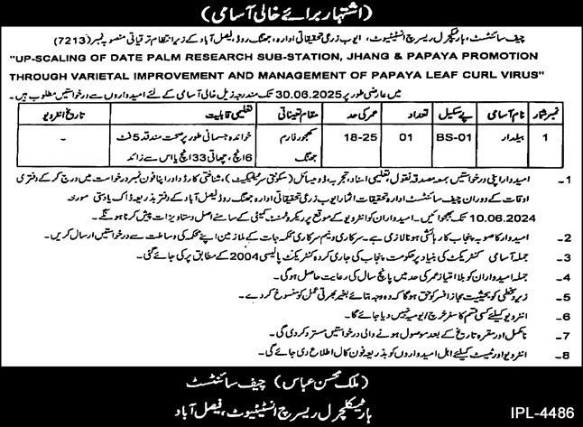 Horticultural Research Institute HRI Faisalabad Jobs 2024 – Parks & Horticulture Authority PHA Jobs 2024 — original advertisement