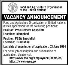 Food And Agriculture Organization FAO Jobs 2024 Jobs 2024 — original advertisement